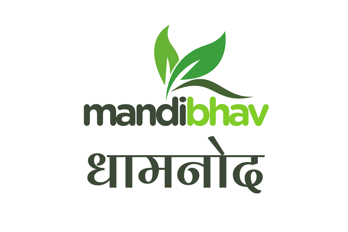 Dhamnod Mandi Bhav