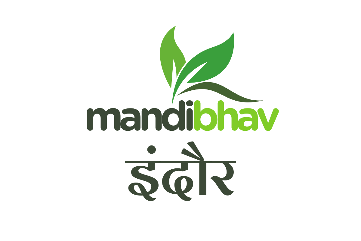 Indore Mandi Bhav