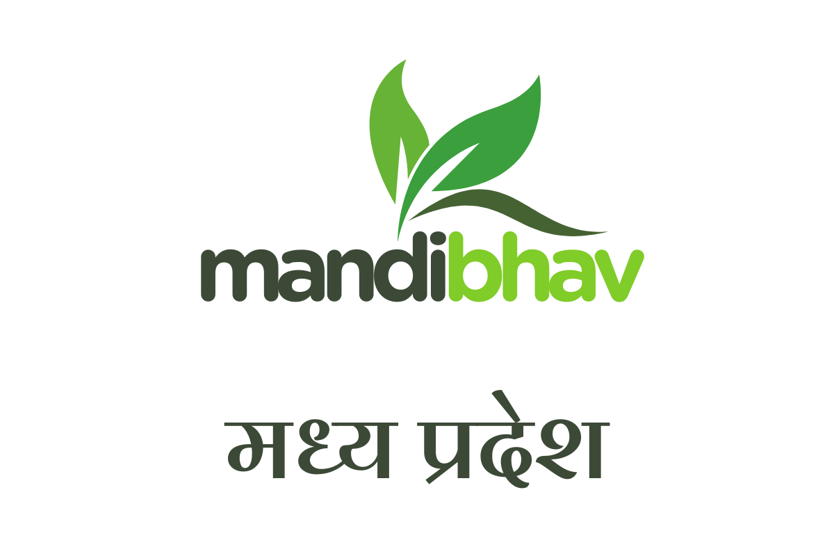 Madhya Pradesh Mandi Bhav