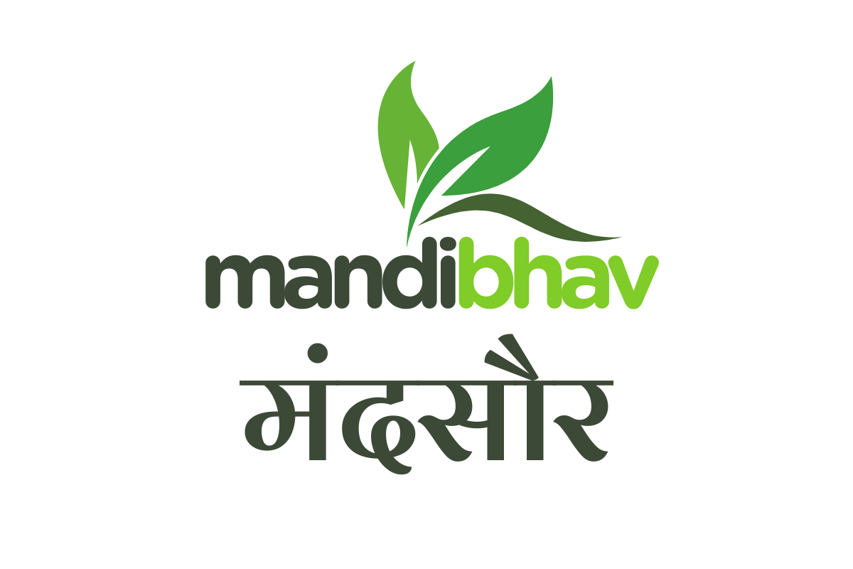 Mandsaur Mandi Bhav