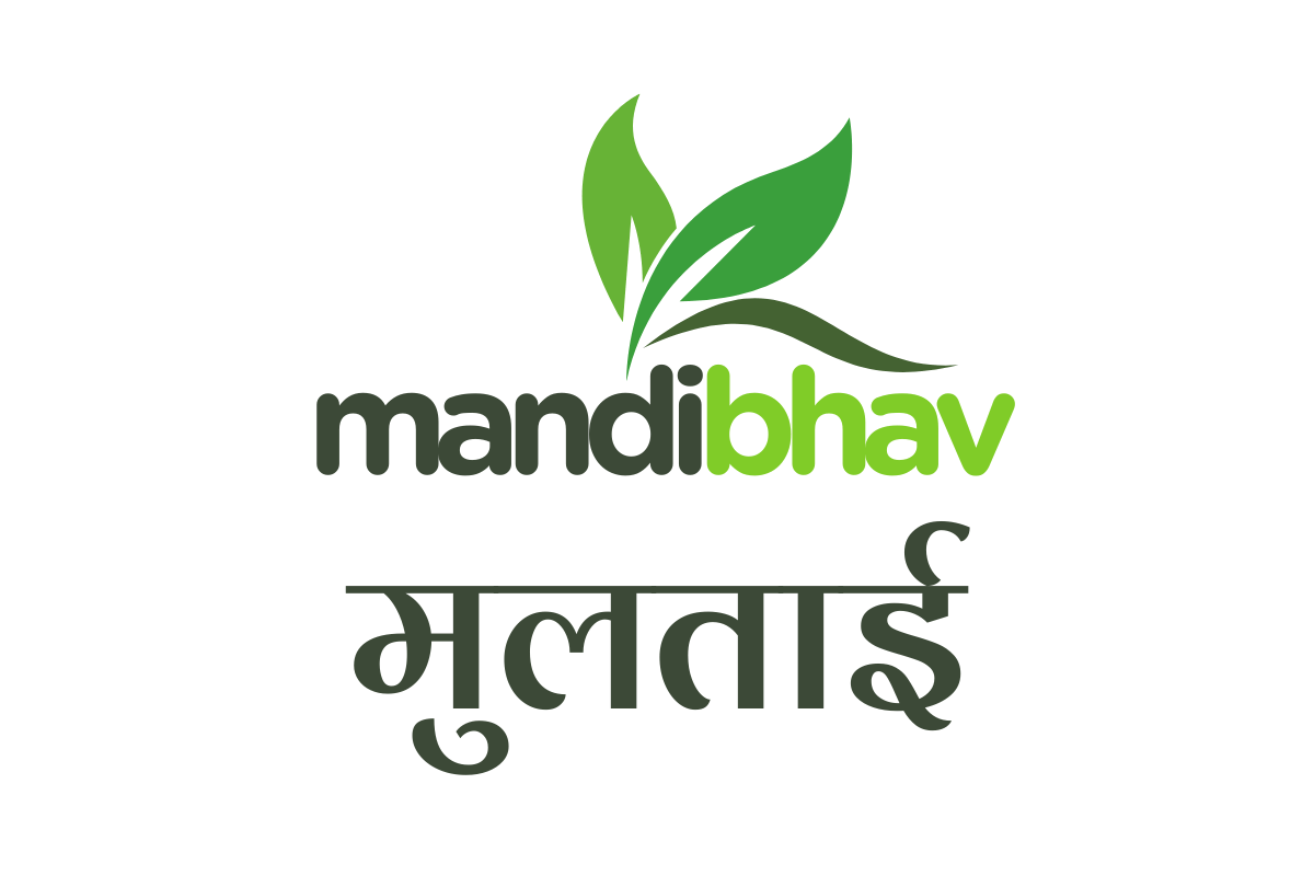 Multai Mandi Bhav