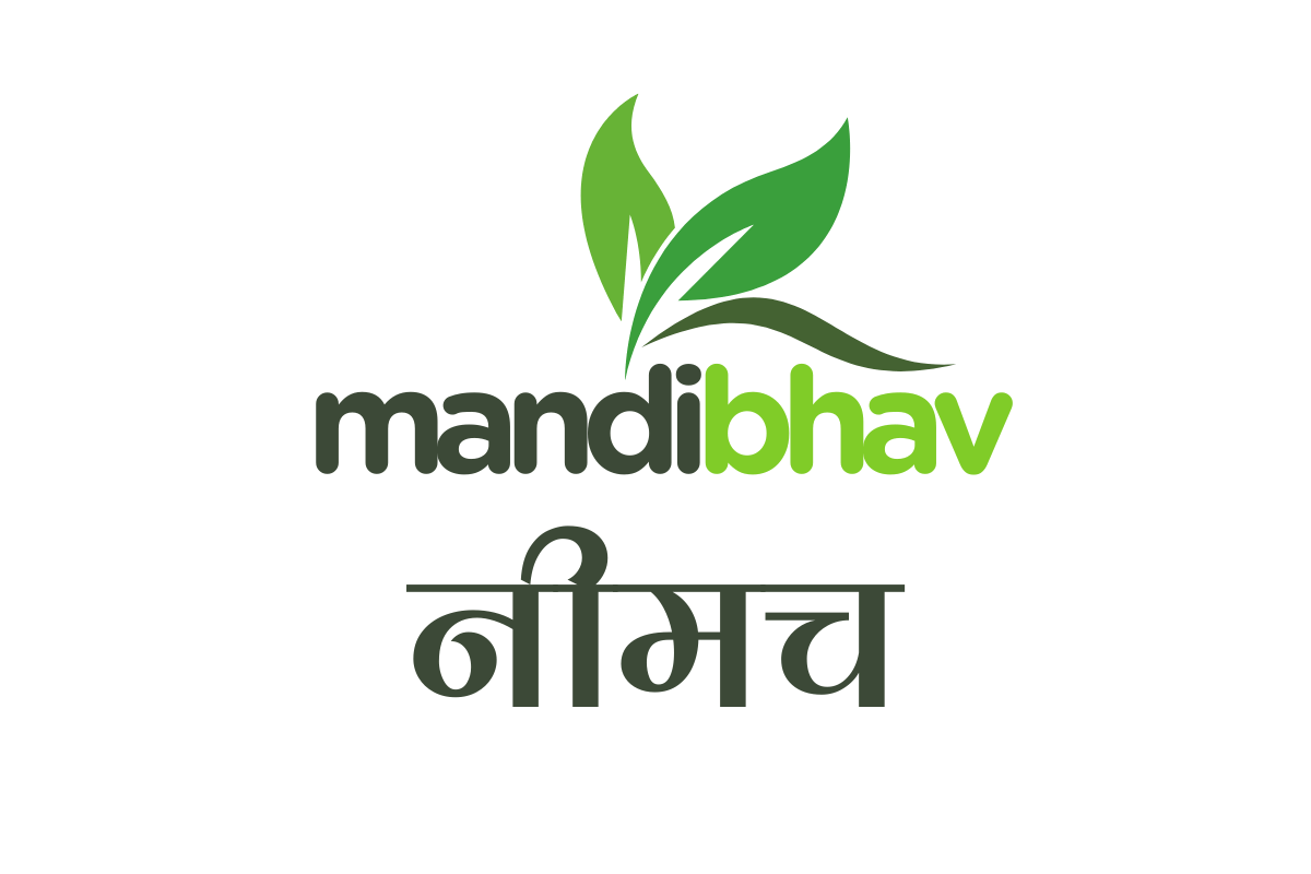 Neemuch Mandi Bhav