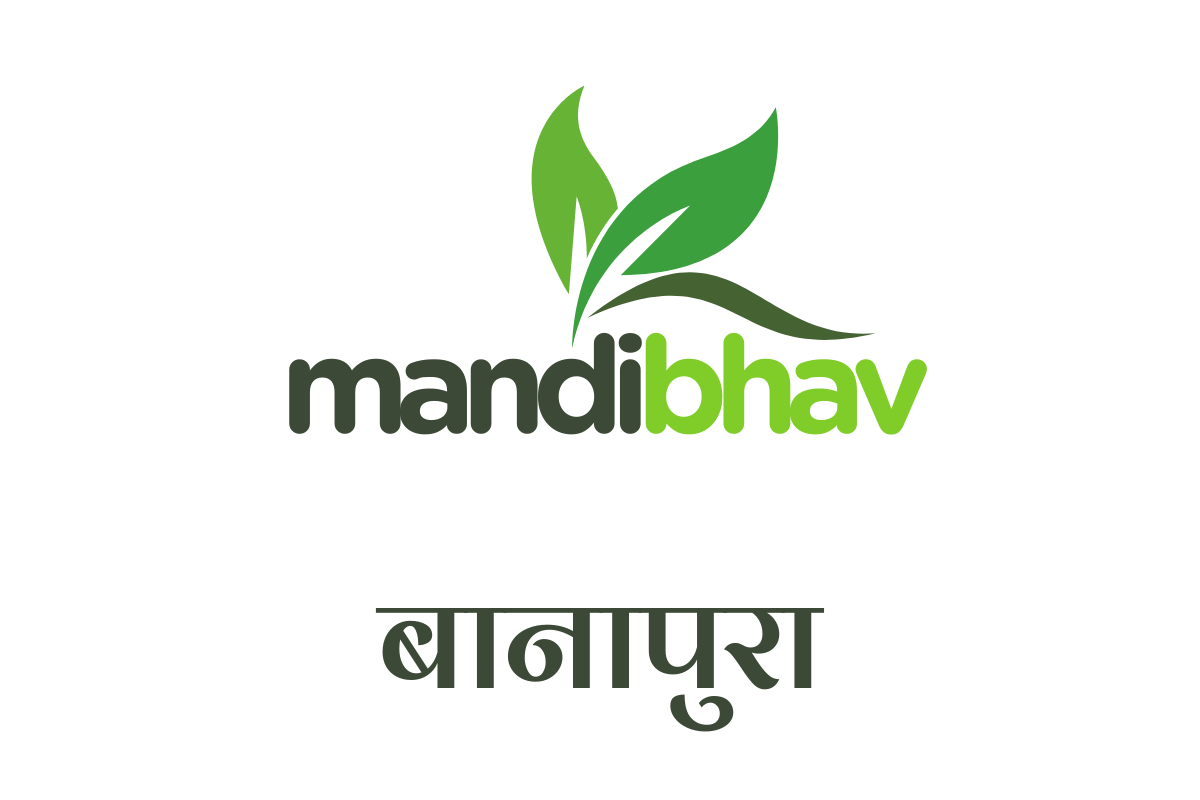 Banapura Mandi Bhav