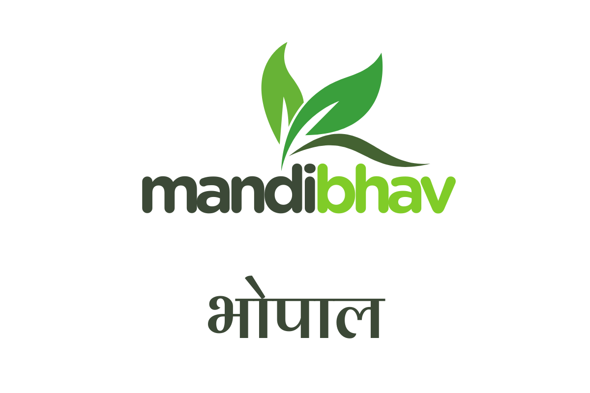 Bhopal Mandi Bhav