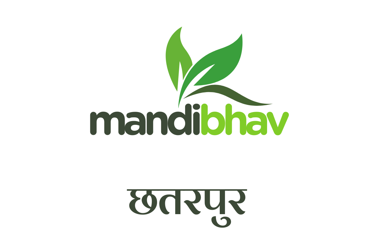 Chhatarpur Mandi Bhav